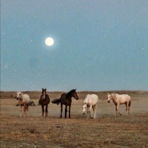 Meet your Posher, Addie